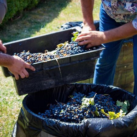 Todoroff Wine Residence Брестовица Экстерьер фото